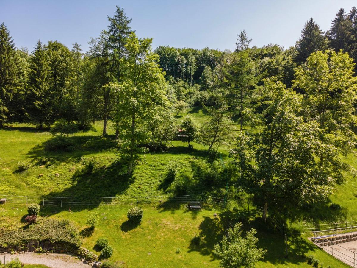Tobelbach Apartment Weiler-Simmerberg